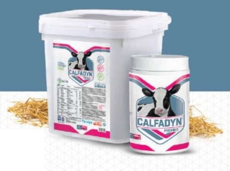 CALFADYN