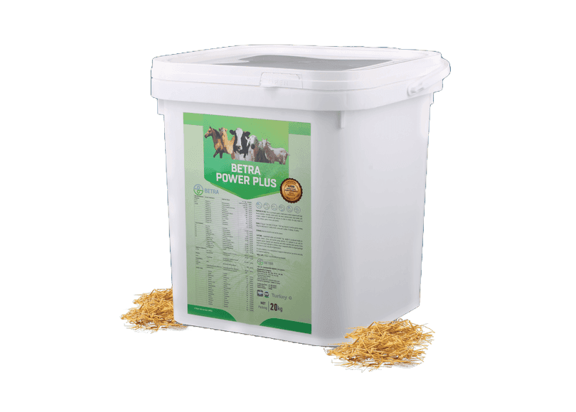 Betra Power Plus