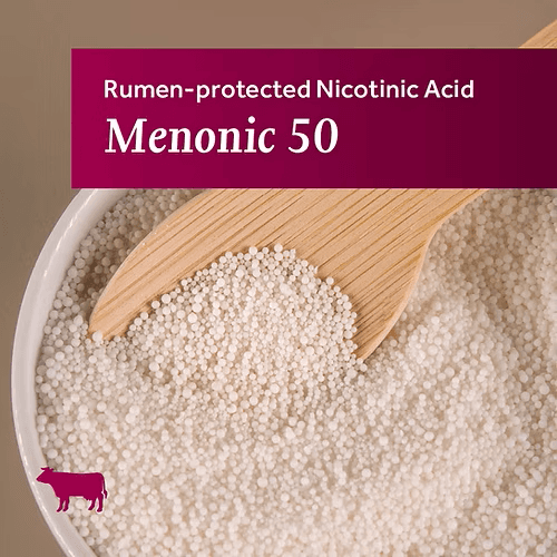 Menonic 50